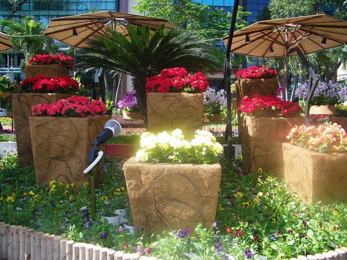 Con đường hoa hồng… Con đường hoa hồng…