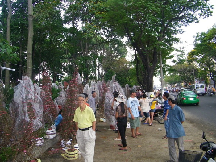 Hàng năm, từ sau rằm tháng Chạp, những gốc đào hồng thắm từ phương Bắc được chuyển vào TP.HCM, “tập kết” nhiều nhất tại công viên Hoàng Văn Thụ. Tại đây, hàng ngàn gốc đào rực rỡ khoe sắc trên một đoạn đường dài.