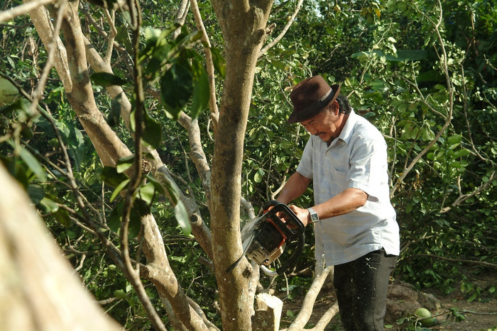 Mưu mô… của các tuyến nhân vật phụ… Mưu mô… của các tuyến nhân vật phụ…