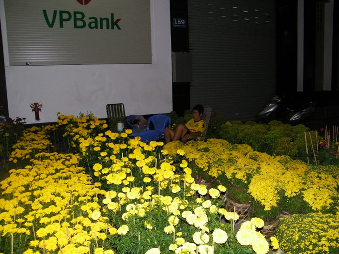 Cậu thanh niên trẻ măng Trần Khánh Tân đang ngồi giữa rừng hoa, dõi mắt trong đêm vắng trên đường Phan Xích Long (Phú Nhuận). Cậu thanh niên trẻ măng Trần Khánh Tân đang ngồi giữa rừng hoa, dõi mắt trong đêm vắng trên đường Phan Xích Long (Phú Nhuận).