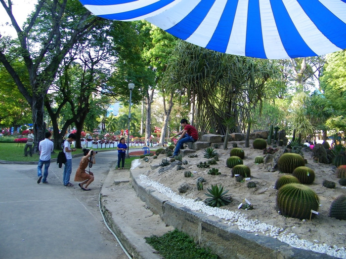 Nhiều bạn trẻ, đã chụp hình lưu niệm tại Hội hoa xuân Tao Đàn.