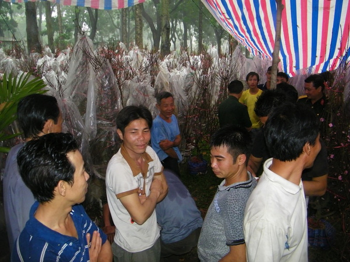 Vẻ mặt lo lắng của các “lái đào” trước cơn mưa chiều ngày 17.1 tại TP.HCM.