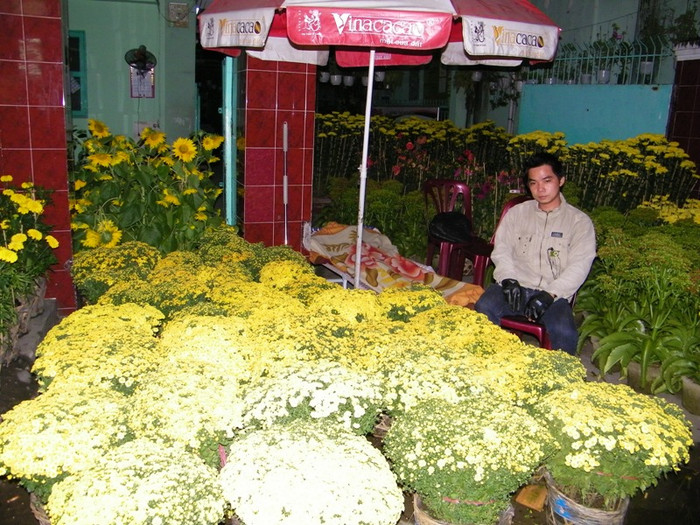 Trời gần sáng, Dũng đang mệt mỏi ngồi giữa cái lạnh, dõi mắt trong đêm, canh chừng hoa thay chọ người chị trùm chăn ngủ ngủ (ảnh chụp trên đường Lê Quang Định, Q.Bình Thạnh). Trời gần sáng, Dũng đang mệt mỏi ngồi giữa cái lạnh, dõi mắt trong đêm, canh chừng hoa thay chọ người chị trùm chăn ngủ ngủ (ảnh chụp trên đường Lê Quang Định, Q.Bình Thạnh).