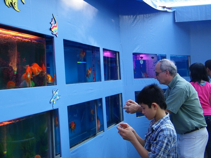 Nhiều người nước ngoài thích thú trước sự phong phú của sinh vật biển Việt Nam.