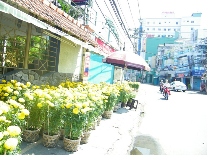 Từ 23 tháng chạp, TP.HCM có thời tiết thất thường, chợt nắng chợt mưa, khiến nhiều người lo lắng. Nhưng ngày hôm nay (29 âm lịch), thời tiết tại nơi đây rất ấm áp, xua đi cái rét nhè nhẹ của những ngày trước. Nắng xuân tràn ngập từng con đường, góc phố Sài thành… Dự đoán ngày đầu tiên của năm mới, thời tiết tại TP.HCM sẽ rất ấm áp.. Nắng, hoa ngập tràn một góc đường Lê Quang Định (Q. Gò Vấp). Từ 23 tháng chạp, TP.HCM có thời tiết thất thường, chợt nắng chợt mưa, khiến nhiều người lo lắng. Nhưng ngày hôm nay (29 âm lịch), thời tiết tại nơi đây rất ấm áp, xua đi cái rét nhè nhẹ của những ngày trước. Nắng xuân tràn ngập từng con đường, góc phố Sài thành… Dự đoán ngày đầu tiên của năm mới, thời tiết tại TP.HCM sẽ rất ấm áp.. Nắng, hoa ngập tràn một góc đường Lê Quang Định (Q. Gò Vấp).