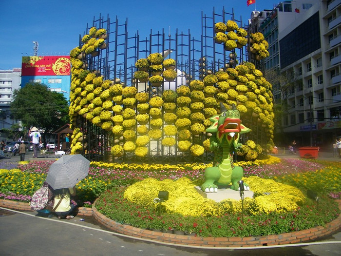 Những đoá hoa cúc rực rỡ sắc vàng dưới ánh nắng xuân… Những đoá hoa cúc rực rỡ sắc vàng dưới ánh nắng xuân…