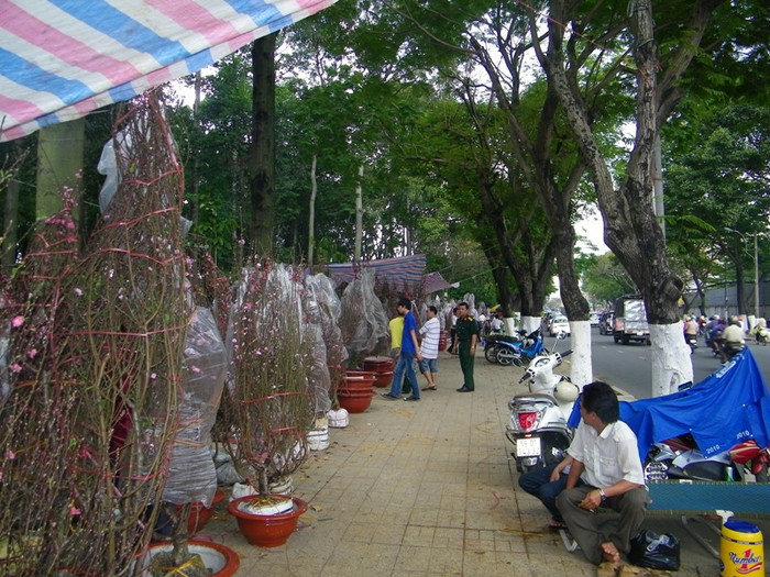 Tại “phố đào” này, giá đào nhành, dao động từ 300 ngàn – 1 triệu đồng, đào cây (trồng trong chậu) giá dao động từ 1 triệu – 50 triệu đồng.
