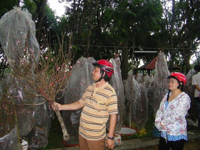 Vợ chồng anh Ba, chị Bắc vừa chọn mua được nhành đào giá 300 ngàn. Anh Ba cho biết: “Vợ chồng chúng tôi gốc Hà Nội, lập nghiệp tại Sài Gòn. Ngày tết chưng hoa đào trong nhà, chúng tôi đỡ đi phần nào cảm giác nhớ quê”.