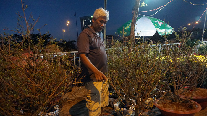 Ông Đương (ngụ huyện Bình Chánh, thành phố Hồ Chí Minh) đang tranh thủ phun nước cho những cành mai.