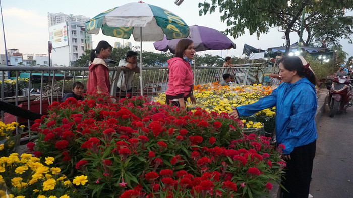Những ngày giáp Tết, chợ hoa thưa thớt người mua.