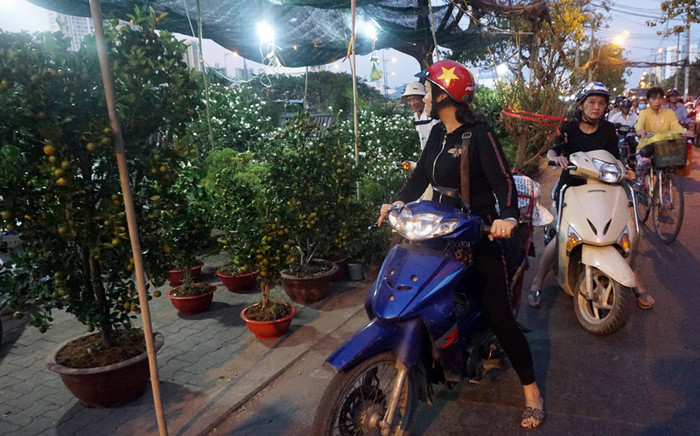 Năm nay nhiều khách hàng quan tâm tới những chậu quất cảnh.