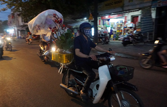 Chở chậu lan về nhà chơi Tết.