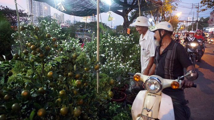 Mai “chỉ thiên” có giá 500 ngàn đồng cũng được nhiều khách hỏi mua.