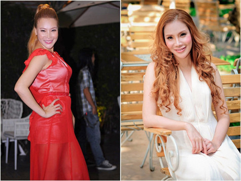 Khuôn mặt dài, chiếc cằm nhọn, mũi cao và biểu cảm căng cứng của Hồ Quỳnh Hương hiện tại