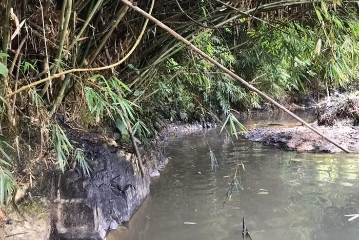 Khách hàng có quyền khởi kiện vì nước sinh hoạt lẫn dầu thải