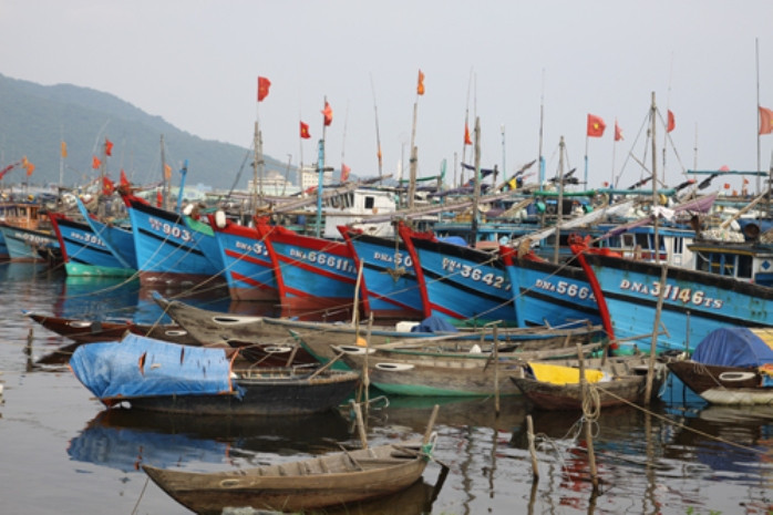 Tàu thuyền neo đậu tránh bão tại vịnh Mân Quang, TP.Đà Nẵng. Ảnh Thanh Niên Tàu thuyền neo đậu tránh bão tại vịnh Mân Quang, TP.Đà Nẵng. Ảnh Thanh Niên