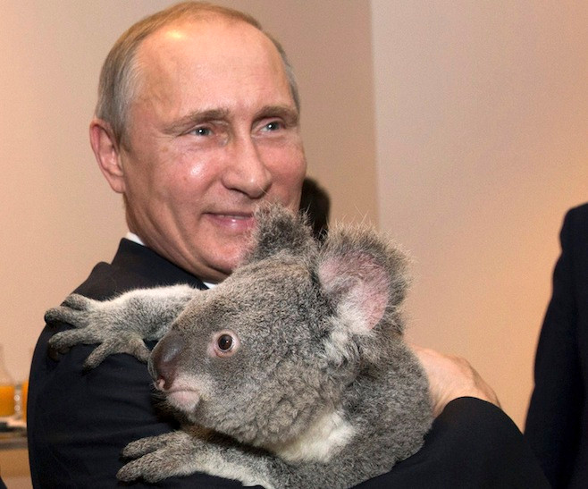 Tổng thống Vladimir Putin bên lề hội nghị thượng đỉnh G20 tại Úc vừa qua. Tổng thống Vladimir Putin bên lề hội nghị thượng đỉnh G20 tại Úc vừa qua.