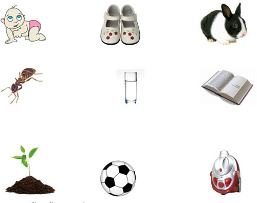 Câu 3: Những vật nào dưới đây có thể lớn lên nhờ ăn uống và chăm sóc? Khoanh tròn các hình đó.