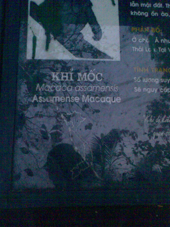 Ảnh chụp bản đồ Việt Nam không in hai quần đảo Trường Sa, Hoàng Sa tại vườn thú Hà Nội. (Ảnh do độc giả cung cấp) Ảnh chụp bản đồ Việt Nam không in hai quần đảo Trường Sa, Hoàng Sa tại vườn thú Hà Nội. (Ảnh do độc giả cung cấp)