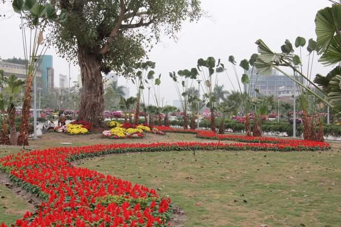 Hải Phòng cho rằng dự án mới chỉ được tạm ứng tiền, việc quyết toán có kiểm toán độc lập nên không thất thoát Hải Phòng cho rằng dự án mới chỉ được tạm ứng tiền, việc quyết toán có kiểm toán độc lập nên không thất thoát
