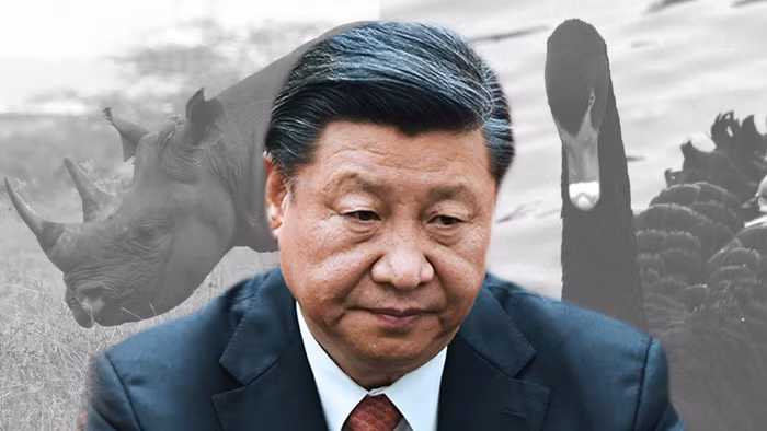 Hình minh họa, nguồn: Nikkei Asian Review.