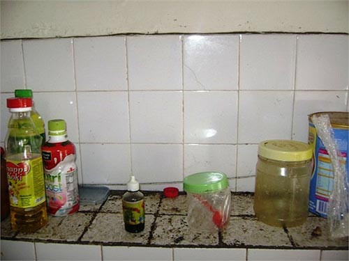 Vết dầu mỡ bẩn bám đầy trong gian bếp. >>Phát hoảng: Vợ Mai An Tiêm dùng nhan sắc bẫy cá về thịt >>Truyện "Cây tre trăm đốt": Con gái Phú ông "mua chồng" ngoài chợ >>Những nữ sinh diện áo dài đẹp hơn vẻ xuân thì của Mai Phương Thúy (P25) Vết dầu mỡ bẩn bám đầy trong gian bếp. >>Phát hoảng: Vợ Mai An Tiêm dùng nhan sắc bẫy cá về thịt >>Truyện "Cây tre trăm đốt": Con gái Phú ông "mua chồng" ngoài chợ >>Những nữ sinh diện áo dài đẹp hơn vẻ xuân thì của Mai Phương Thúy (P25)
