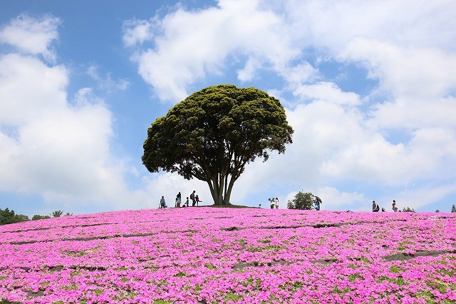 Trang trại Mother farm Trang trại Mother farm