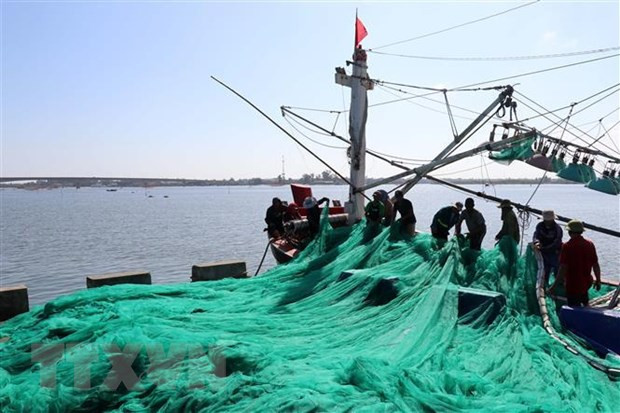 Ảnh minh họa: TTXVN Ảnh minh họa: TTXVN