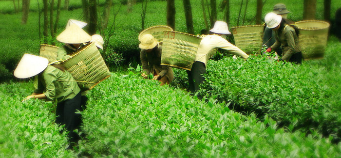 Nhập nguyên liệu từ Trung Quốc, PepsiCo đặt lợi ích trên sức khỏe người dùng? ảnh 2 Nhập nguyên liệu từ Trung Quốc, PepsiCo đặt lợi ích trên sức khỏe người dùng? ảnh 2