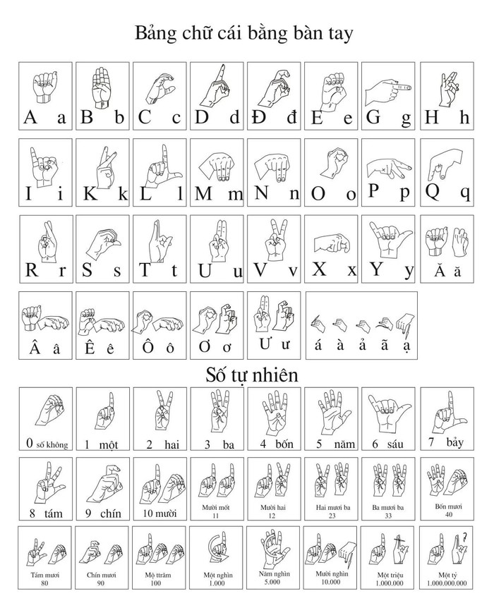 Ảnh: Hải Anh Ảnh: Hải Anh