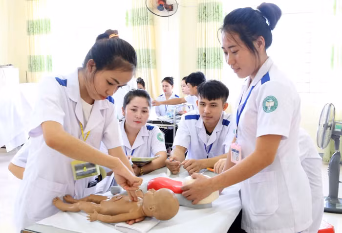 Một giờ thực hành của sinh viên ngành y, dược. Ảnh: TTXVN