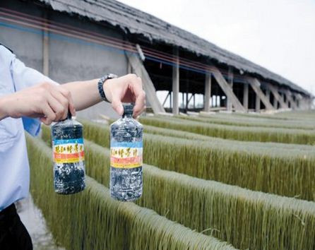 Mỳ Trung Quốc ngâm hóa chất.