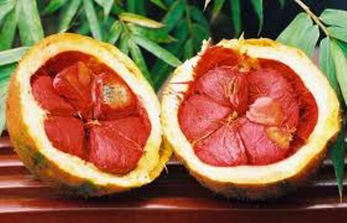 Những tác dụng không ngờ từ quả gấc. Những tác dụng không ngờ từ quả gấc.