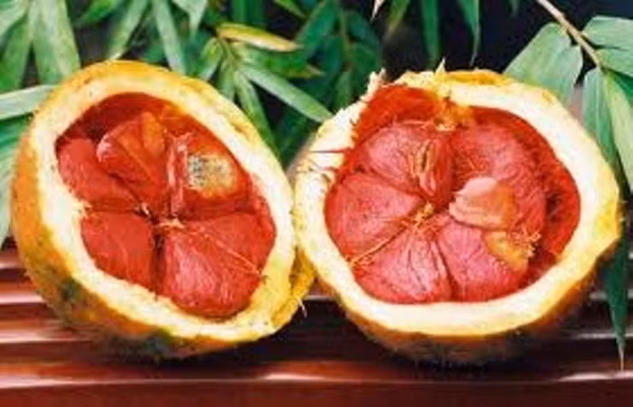 Những tác dụng không ngờ từ quả gấc. Những tác dụng không ngờ từ quả gấc.