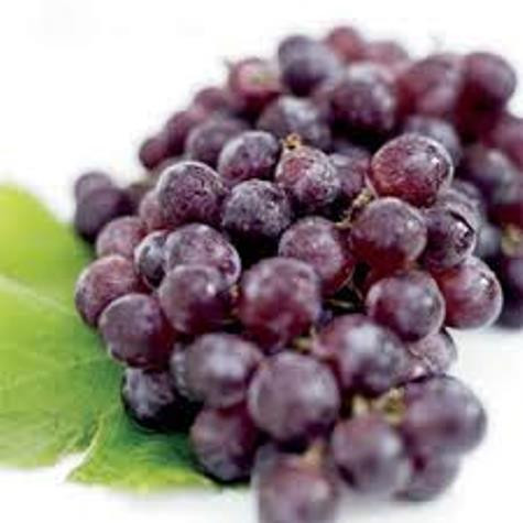 Nho được nhiều người ưa chuộng nhất trong cuộc sống hàng ngày của chúng ta. Nho được nhiều người ưa chuộng nhất trong cuộc sống hàng ngày của chúng ta.