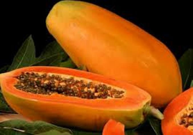 Đu đủ có nhiều công dụng, rất tốt cho mỗi chúng ta. Đu đủ có nhiều công dụng, rất tốt cho mỗi chúng ta.