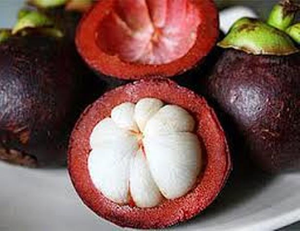 Giúp ngăn ngừa ung thư, tinh thần hưng phấn , giảm cholesterol, hạ huyết áp… Giúp ngăn ngừa ung thư, tinh thần hưng phấn , giảm cholesterol, hạ huyết áp…