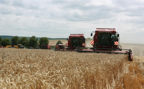 Cánh đồng lúa mỳ Ukraina, hình minh họa. Cánh đồng lúa mỳ Ukraina, hình minh họa.