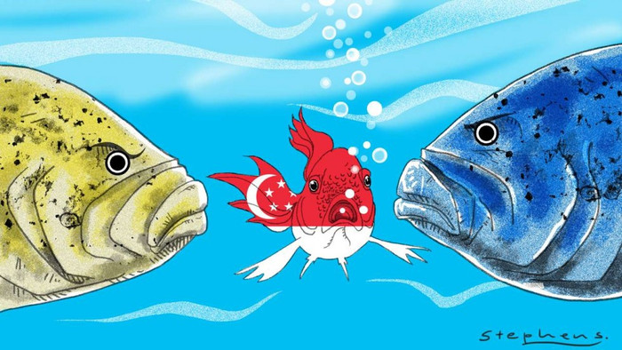 Bảo vệ trật tự quốc tế dựa trên luật pháp là lựa chọn sống còn của các nước nhỏ ảnh 2