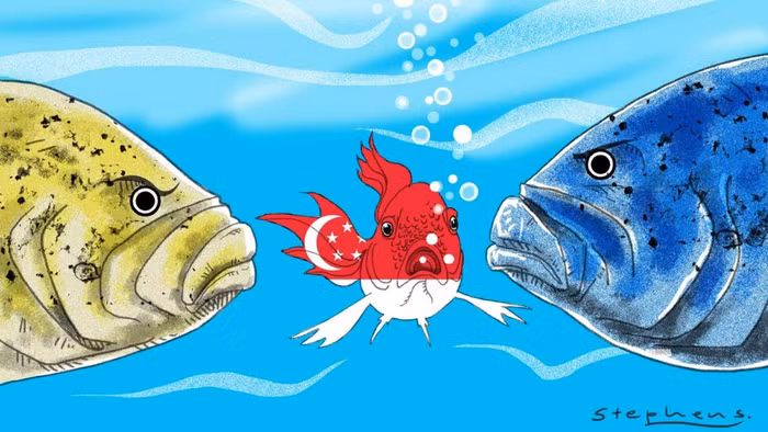 Bảo vệ trật tự quốc tế dựa trên luật pháp là lựa chọn sống còn của các nước nhỏ ảnh 2