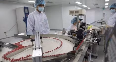 Ảnh minh họa: baochinhphu.vn Ảnh minh họa: baochinhphu.vn