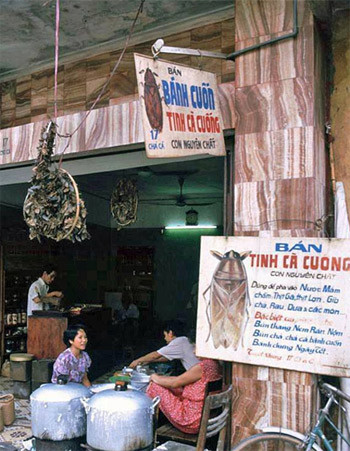 Một quán ăn ở Hà Nội ngày xưa. Ảnh: Internet. Một quán ăn ở Hà Nội ngày xưa. Ảnh: Internet.