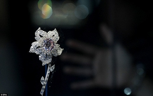 Chiếc hoa cài áo Williamson Diamond Brooch nạm kim cương cỡ lớn được các Nữ hoàng Anh đeo trong suốt 200 năm. Chiếc hoa cài áo Williamson Diamond Brooch nạm kim cương cỡ lớn được các Nữ hoàng Anh đeo trong suốt 200 năm.