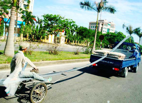 Chụp tại đường Lê Nin, TP. Vinh, Nghệ An. Ảnh: Kỳ Sơn. Chụp tại đường Lê Nin, TP. Vinh, Nghệ An. Ảnh: Kỳ Sơn.
