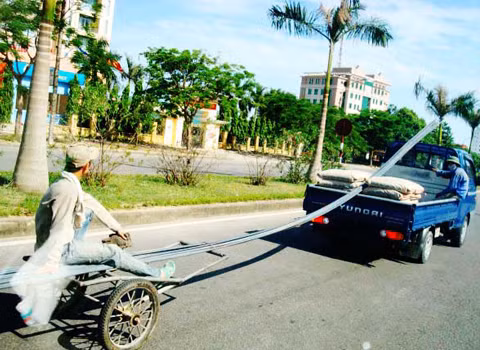 Chụp tại đường Lê Nin, TP. Vinh, Nghệ An. Ảnh: Kỳ Sơn.