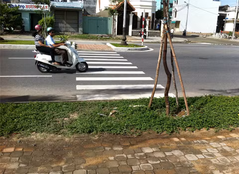 Không biết đi bộ kiểu nào cho đúng luật và an toàn đây? Dẫm lên cây cỏ để đi hay đi dưới đường để tìm lối lên lề đường, chụp trên đường Nguyễn Tất Thành, Hà Huy Tập, TP Đà Nẵng. Ảnh: Michael Nguyen.