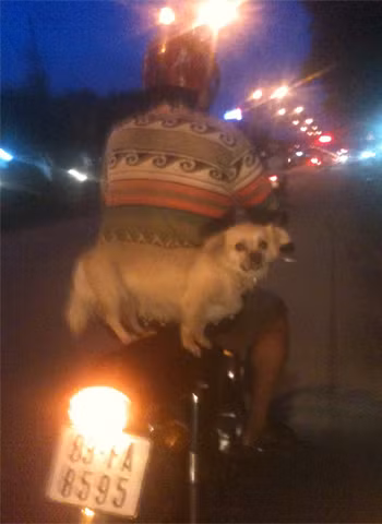 Dùng đèn pha ngược lóa mắt, chụp tại đường Hùng Vương, TP Sóc Trăng. Ảnh: Phương.