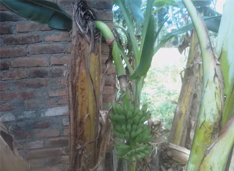 Ảnh: Huỳnh Công Danh.