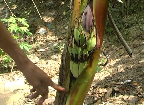 Ảnh: Trần Trọng Trung. Ảnh: Trần Trọng Trung.