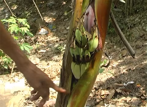 Ảnh: Trần Trọng Trung.